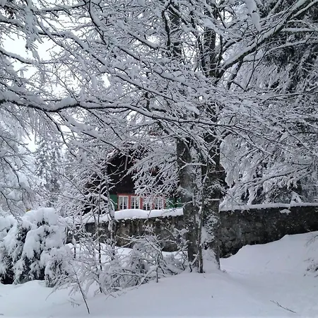 Holiday home Zaehringer Huette Menzenschwand