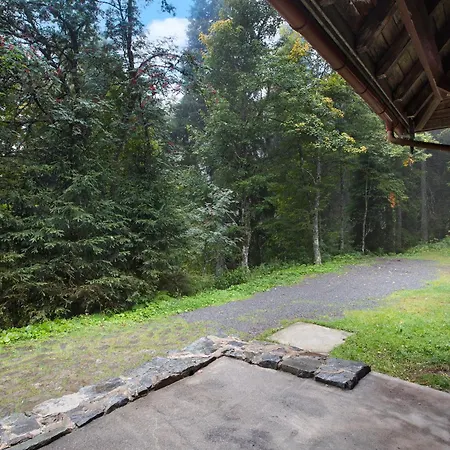 Zaehringer Huette * 펠트베르크